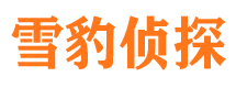 桐乡市侦探调查公司